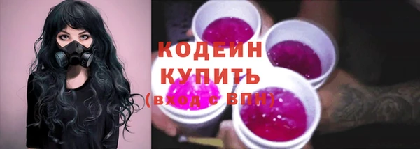 мдпв Пересвет