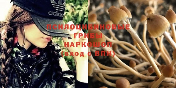 мдпв Пересвет