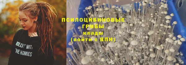 мдпв Пересвет