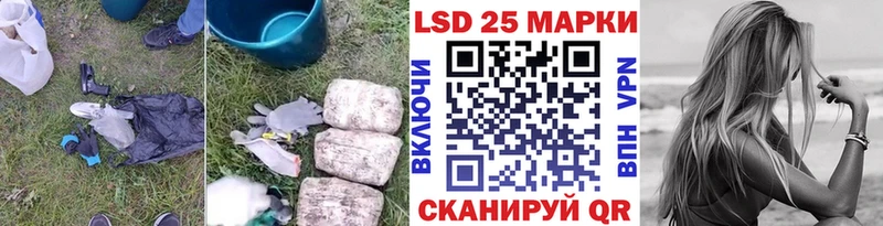 сколько стоит  блэк спрут зеркало  Лсд 25 экстази кислота  Лермонтов 
