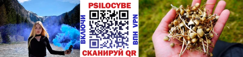 мега ссылка  как найти закладки  Лермонтов  Галлюциногенные грибы MAGIC MUSHROOMS 