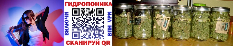 МАРИХУАНА тримм  hydra   Лермонтов 