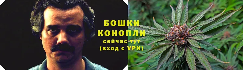 Шишки марихуана Ganja  Лермонтов 